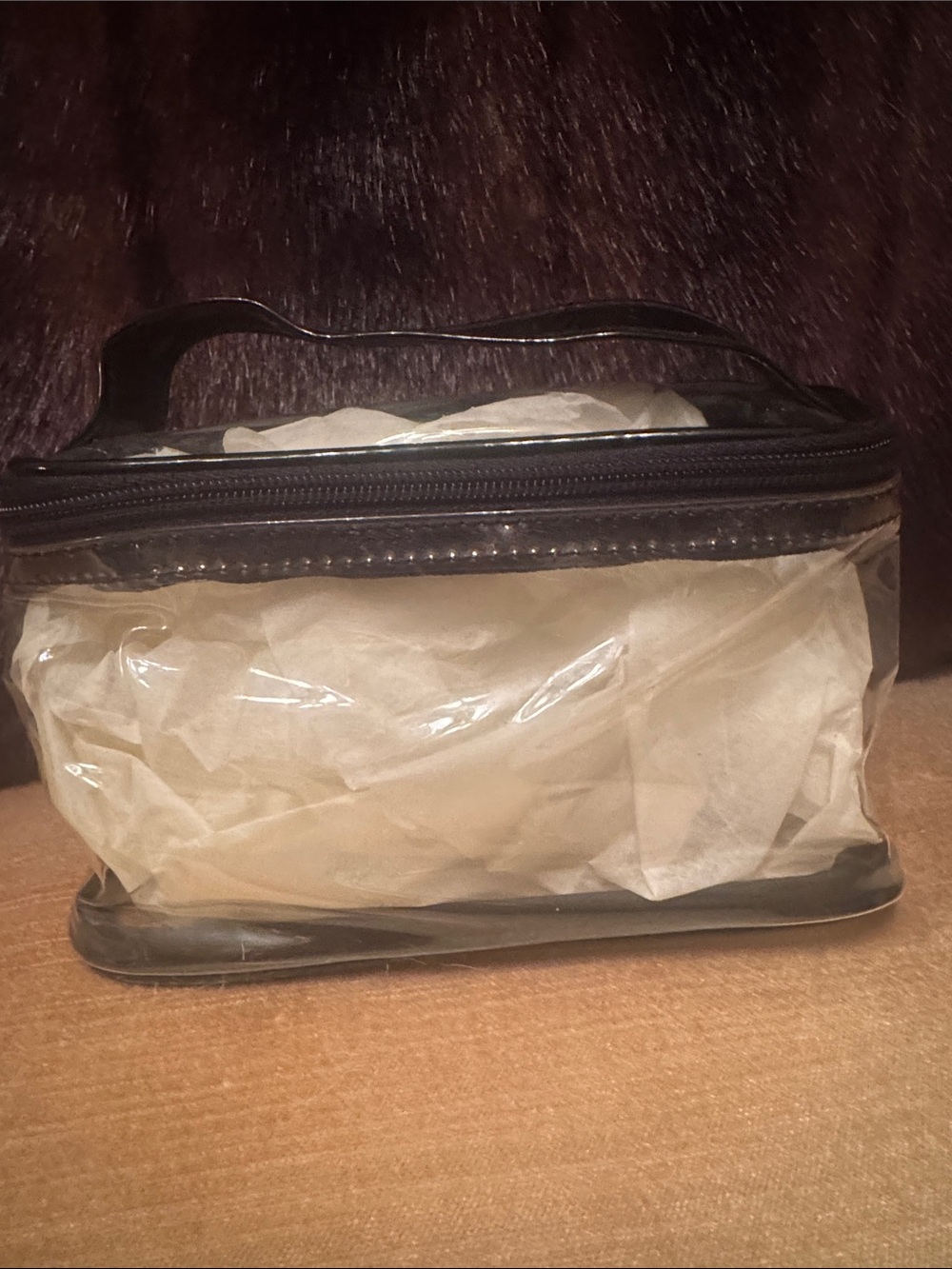 Clear Cosmetic Travel Bag with Black Trim